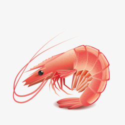 小红虾红色的卡通小红虾高清图片