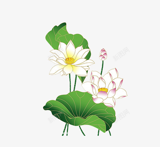 文艺清新花草花环海报装饰png免抠素材_新图网 https://ixintu.com 小清新花草装饰 文艺花草PPT制作 植物插画 海报设计 花草包装礼盒 花草插画 花草装饰 荷花