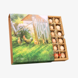 彩色包装盒分格鸡蛋包装盒高清图片