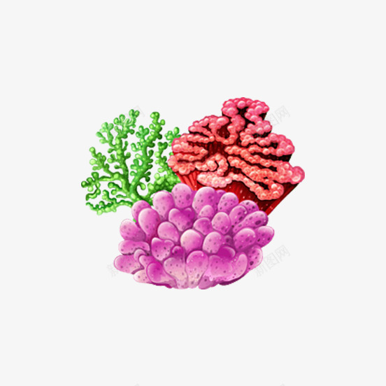 彩色手绘的珊瑚png免抠素材_新图网 https://ixintu.com 免抠图 效果图 植物 海草 珊瑚 装饰图 装饰画