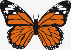 橙色蝴蝶矢量图素材