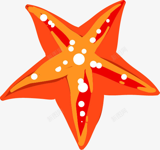 白色圆点卡通橘色海星png免抠素材_新图网 https://ixintu.com 五角星形状 卡通 大海 沙滩 海星 海生贝壳 美丽的