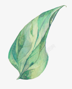 绿色手绘的树叶效果图素材
