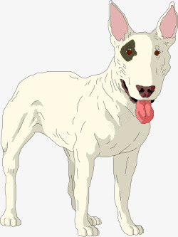 牛头梗手绘白色宠物狗牛头梗高清图片