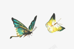 蝴蝶比翼双飞素材