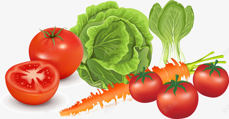 蔬菜3D效果图矢量图eps免抠素材_新图网 https://ixintu.com 矢量蔬菜 蔬菜 蔬菜3D效果图 蔬菜3D效果图矢量图 矢量图