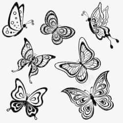 素描一群蝴蝶素材