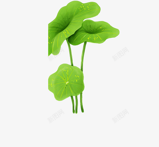 文艺清新花草花环海报装饰png免抠素材_新图网 https://ixintu.com 小清新花草装饰 文艺花草PPT制作 植物插画 海报设计 花草包装礼盒 花草插画 花草装饰 荷花