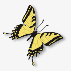 黄色的蝴蝶昆虫矢量图素材