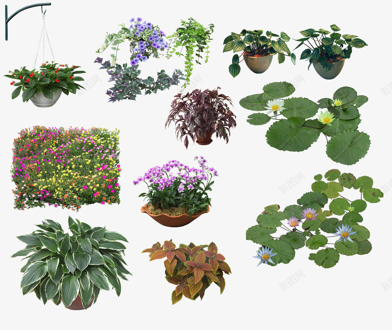 绿色植物png免抠素材_新图网 https://ixintu.com 3D贴图 效果图元素 盆景 绿化 绿植 绿色植物