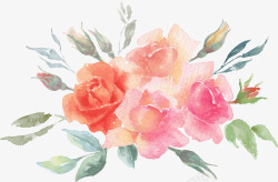 花草插画手绘水彩花卉花朵高清图片