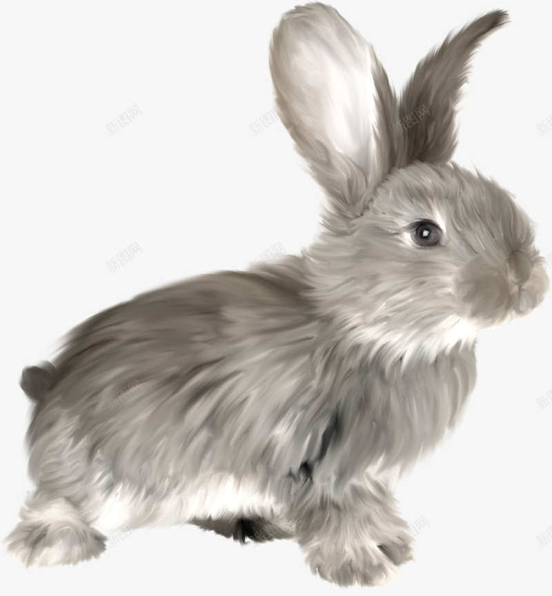 灰色的卡通小兔子png免抠素材_新图网 https://ixintu.com 免抠图 动物 小兔子 小灰兔 效果图 灰色 装饰图 装饰画