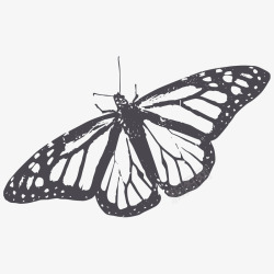 黑色手绘蝴蝶装饰素材