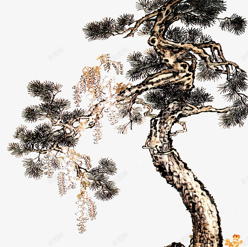 中国风迎客松png免抠素材_新图网 https://ixintu.com 中国风迎客松 中式风格图片 松树