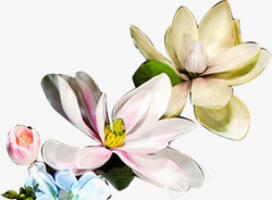 摄影手绘花朵效果图插画素材
