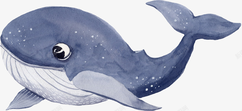 手绘的蓝色海豚装饰png免抠素材_新图网 https://ixintu.com 免抠图 效果图 海洋动物 海豚 蓝色海豚 装饰图 装饰画