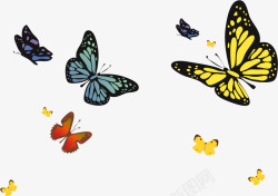 五只蝴蝶手绘蝴蝶矢量图高清图片