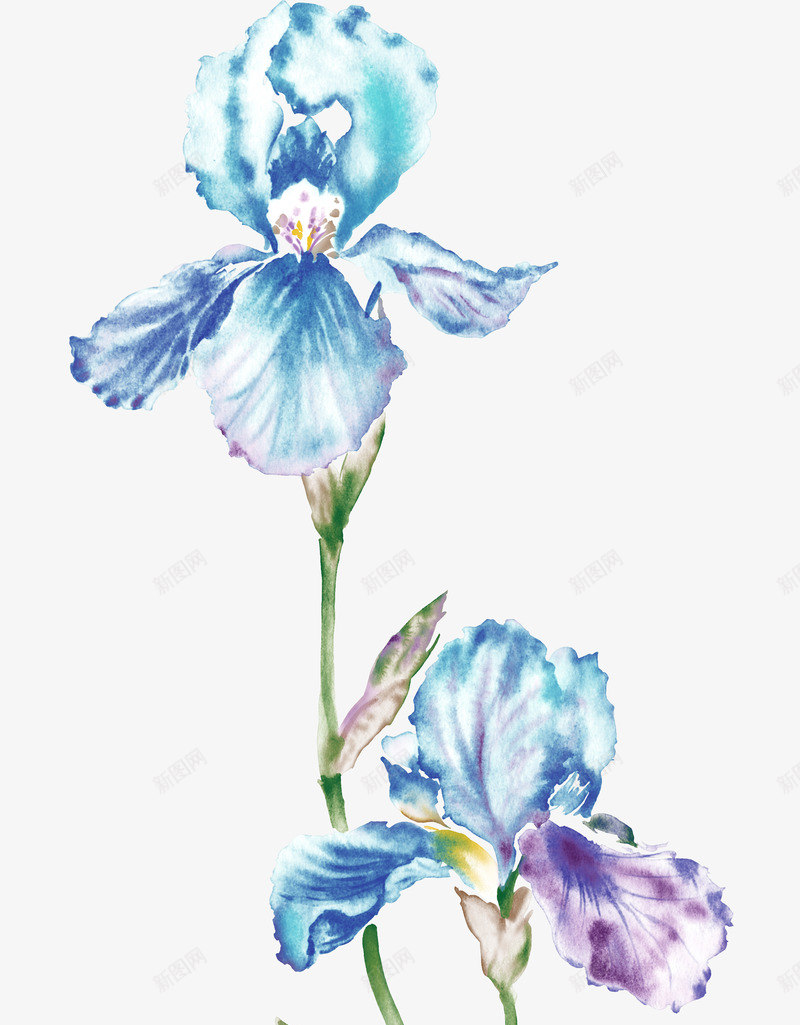 蓝色梦幻花朵植物png免抠素材_新图网 https://ixintu.com 梦幻 植物 花朵 蓝色