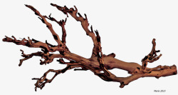 木头枯树枝素材