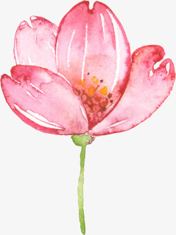 手绘水彩一朵粉色花朵素材