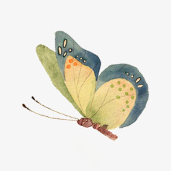 益虫水彩手绘蝴蝶装饰高清图片