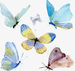 手绘水彩蝴蝶矢量图素材