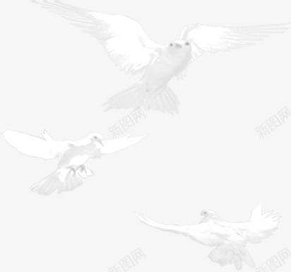 白色和平鸽效果图png免抠素材_新图网 https://ixintu.com 和平鸽 效果图 白色