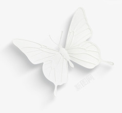白色塑料蝴蝶装饰素材