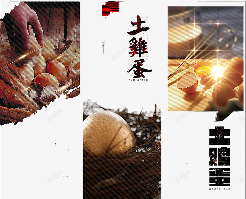 土鸡蛋图png免抠素材_新图网 https://ixintu.com 产品图 土鸡蛋 效果图 装饰图