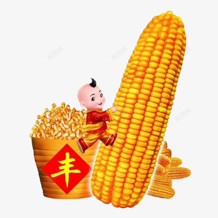 中国喜庆过年娃丰收玉米png免抠素材_新图网 https://ixintu.com 丰收 喜庆 大丰收 玉米叶子 过年 过年娃娃