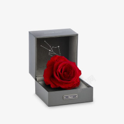 灰色包装盒星座玫瑰红色玫瑰灰色高贵包装盒高清图片