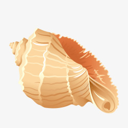 一只手绘的海螺效果图素材