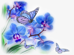手绘三色堇手绘三色堇上的蝴蝶高清图片