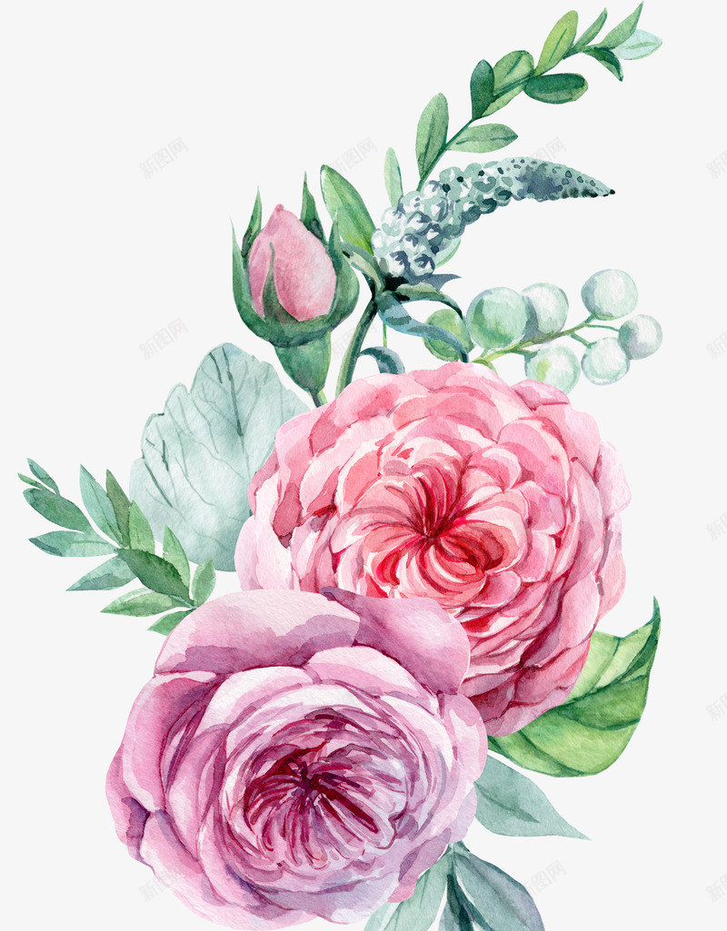 路两朵手绘的粉色花朵png免抠素材_新图网 https://ixintu.com 免抠图 效果图 植物 粉色花朵 花朵 装饰图 装饰画