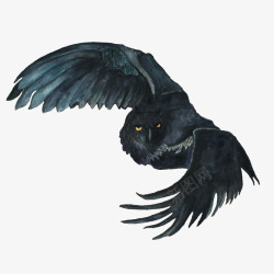黑色的手绘老鹰效果图素材