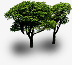 绿色大树景观效果图素材