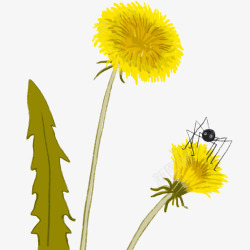 大虫子手绘花朵和大虫子高清图片