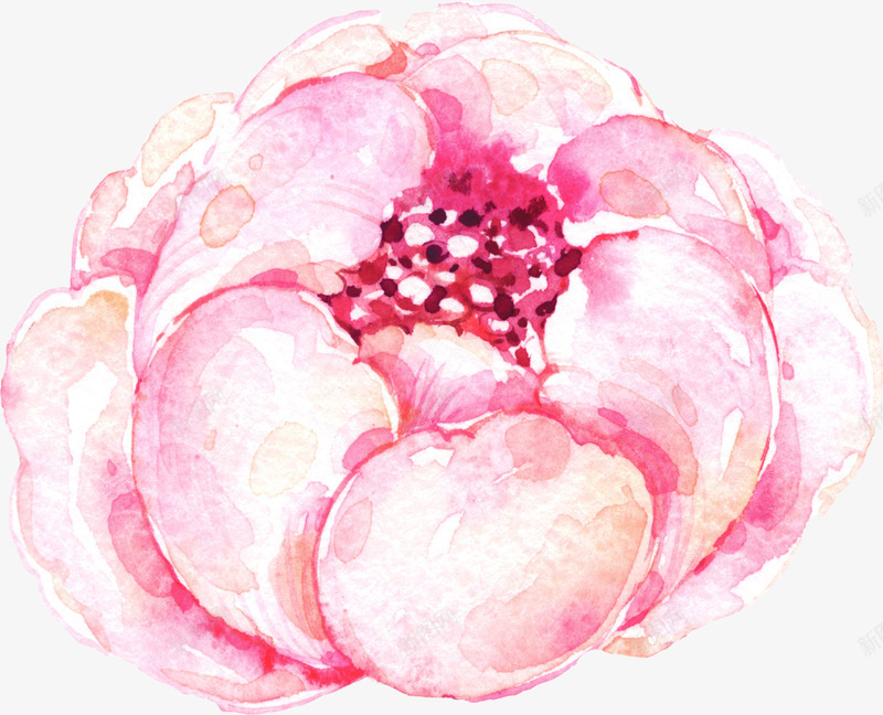 粉色水彩的植物花朵png免抠素材_新图网 https://ixintu.com 免抠图 手绘花朵 效果图 粉色花朵 花朵 装饰图 装饰画