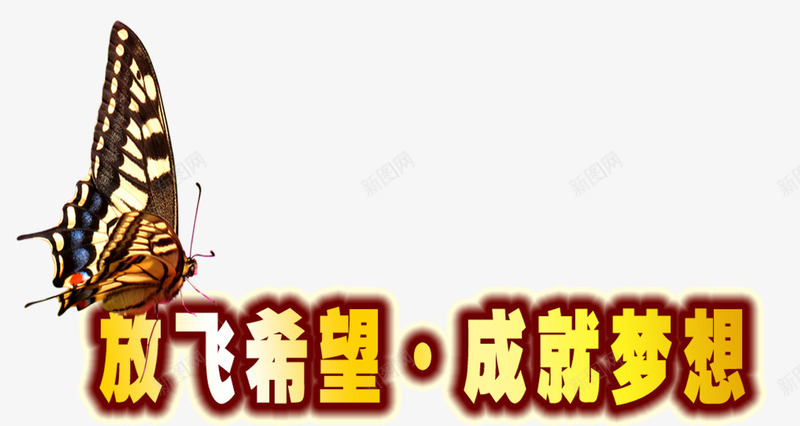 破茧成蝶的过程png免抠素材_新图网 https://ixintu.com 免费png素材 效果元素 花蝴蝶 阴影字体 飞向