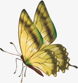 绿色手绘蝴蝶端午节素材