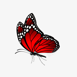 红色昆虫卡通红色的蝴蝶矢量图高清图片