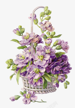 手绘紫色花朵绿叶梦幻素材