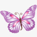 蝴蝶紫色瑜伽素材