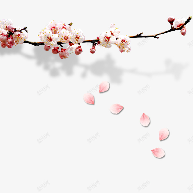 花枝花瓣psd免抠素材_新图网 https://ixintu.com 唯美 浪漫 花枝 花瓣