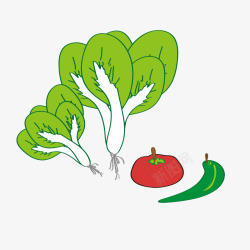 白菜装饰画绿色手绘的蔬菜高清图片