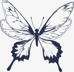 蝴蝶动物昆虫单色黑色矢量图素材