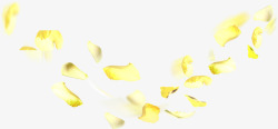 黄色梦幻花朵植物花瓣素材