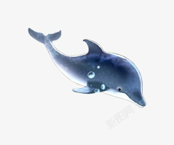 梦幻海豚梦幻蓝色海豚高清图片
