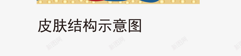 手绘皮肤结构示意图png免抠素材_新图网 https://ixintu.com 免抠图 手绘图案 效果图 皮肤结构 粉色示意图 装饰图 装饰画