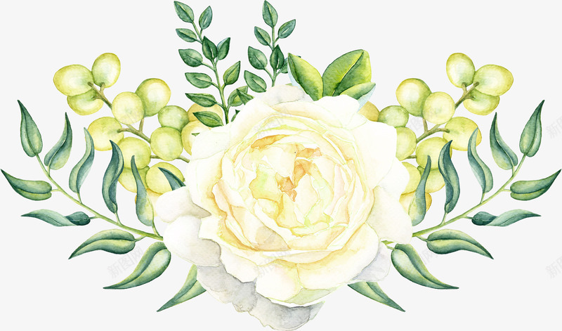 手绘白色花朵花草png免抠素材_新图网 https://ixintu.com 包装设计 小清新包装 白色花朵 花朵 花朵装饰 花草设计 贺卡设计